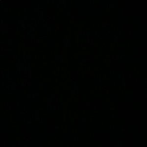 Meet your Posher, Walter